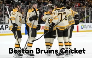 boston bruins cricket