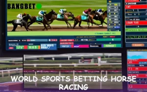 world sports betting horse racing